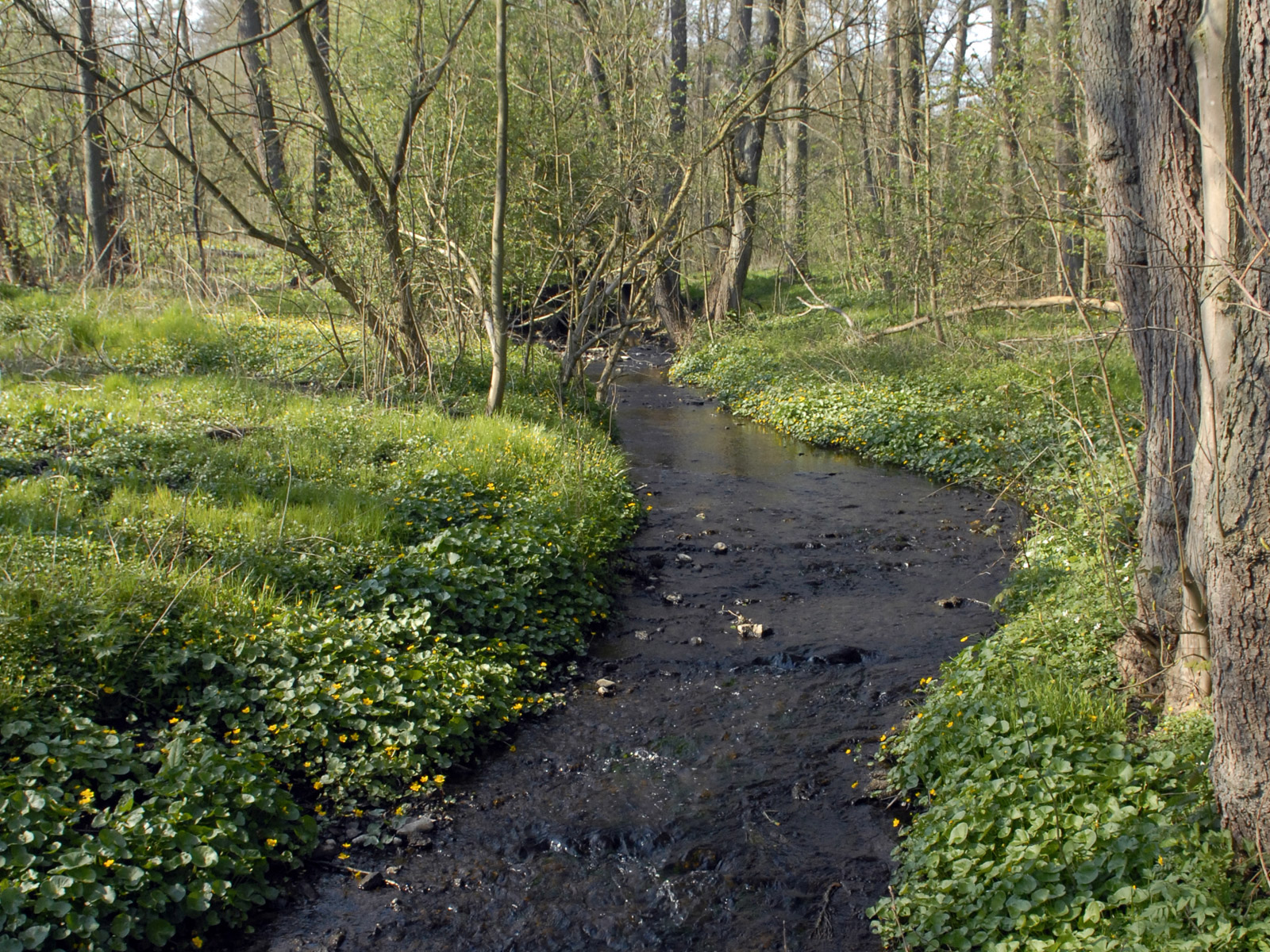 Europe’s leading destination for coastal sea trout fishing Seatrout Fyn