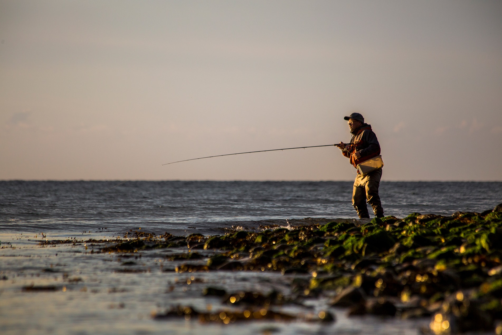 Book a guide - Seatrout Fyn